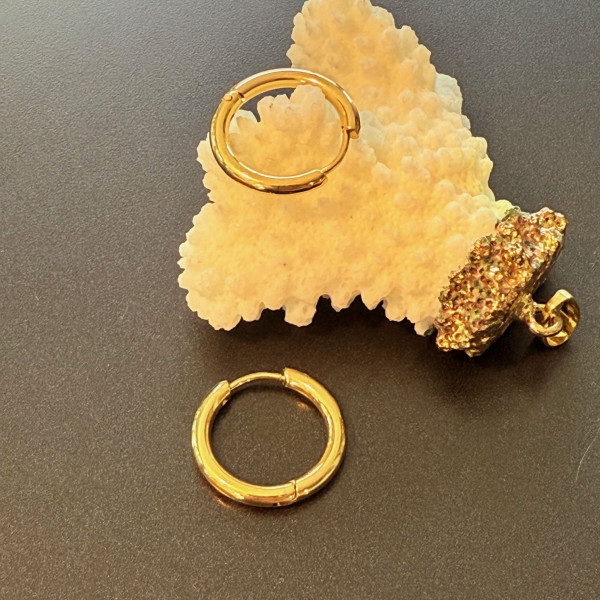 Créoles Rondes 20 x 2.5 mm – Acier Inoxydable 316L Doré – Placage IONIQUE