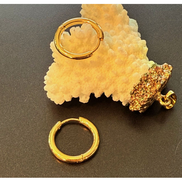 Créoles Rondes  16 par 2 mm – Acier Inoxydable 304 Doré à l'or fin 18K, IONIQUE