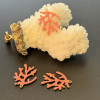 Pendentifs Branche de Corail 20 x 15 mm – Résine Émaillée ROSE, Laiton Doré