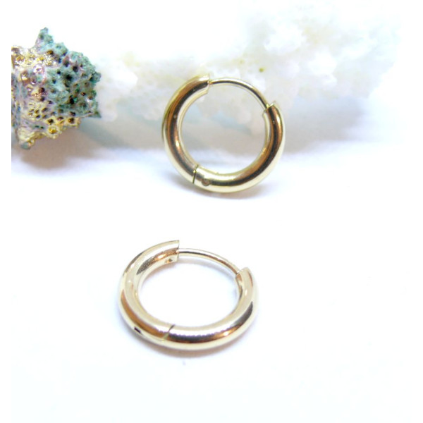 Créoles Rondes 16mm, épaisseur 2.5mm – Acier Inoxydable 316L Doré IONIQUE