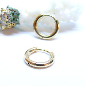 Créoles Rondes 16mm, épaisseur 2.5mm – Acier Inoxydable 316L Doré IONIQUE