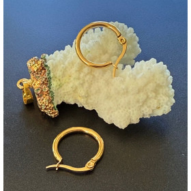 Créoles Rondes 15 x 2 mm – Acier Inoxydable 304 Doré à l’Or Fin 18K, Placage IONIQUE