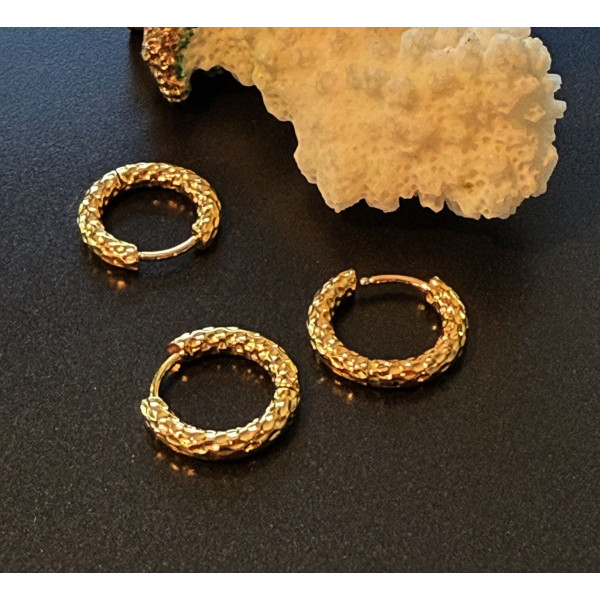 Créoles Rondes martelées  15 par 2.5 mm – Acier Inoxydable 304 Doré à l'or fin 18K, IONIQUE