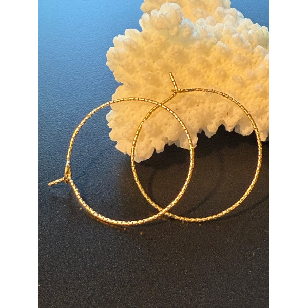 Boucles d'oreilles Créoles Tige Martelées 25mm – Acier Inoxydable 316 Doré Ionique