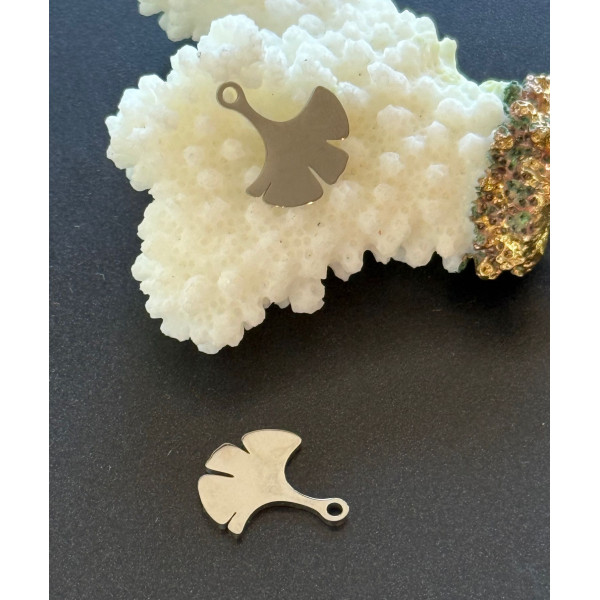 Pendentifs Feuille de Ginkgo 15 mm – Acier Inoxydable Argenté