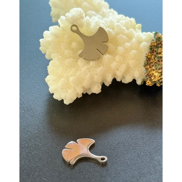 Pendentifs Feuille de Ginkgo 15 mm – Acier Inoxydable Argenté