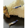 Pendentif avec anneau Poisson Émaillé 18,5 mm – Acier Inoxydable 304 Doré à l’or fin 18K, IONIQUE