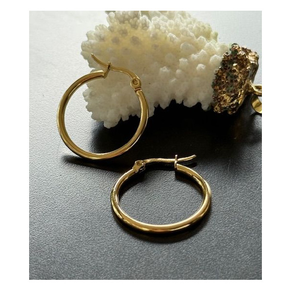 Créoles Rondes 25 x 2 mm – Acier Inoxydable 304 Doré à l’Or Fin 18K, Placage IONIQUE