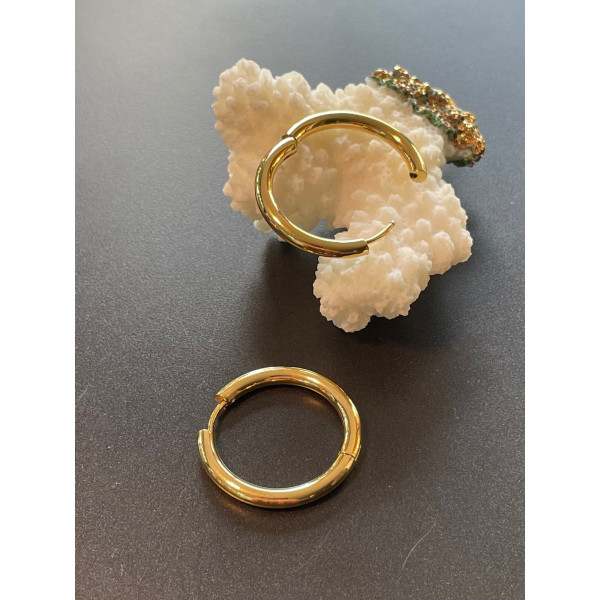 Créoles Rondes 20 x 2 mm – Acier Inoxydable 304 Doré à l’or fin 18K, IONIQUE IP