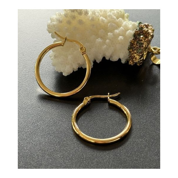 Créoles Rondes 30 x 2 mm – Acier Inoxydable 304 Doré à l’Or Fin 18K, Placage IONIQUE