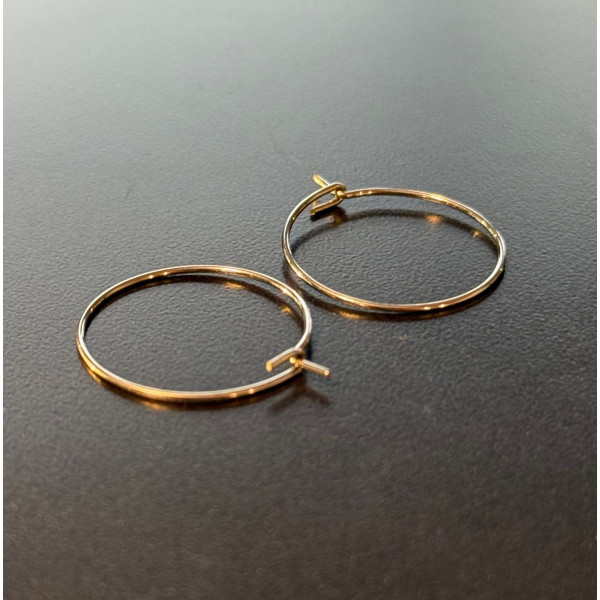 Boucles d’Oreilles Créoles Tiges 20 mm – Acier Inoxydable 316 – Finition Argentée