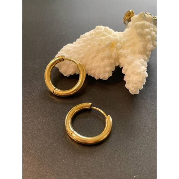 Créoles Rondes 14mm, Acier Inoxydable 316L Doré, Placage Ionique