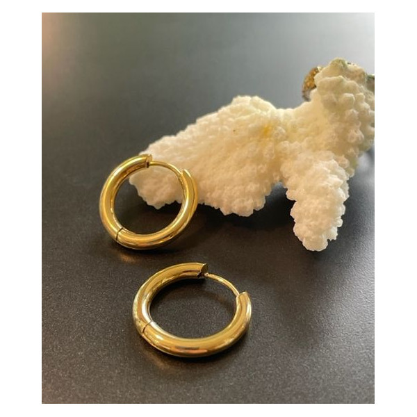 Créoles Rondes 14mm, Acier Inoxydable 316L Doré, Placage Ionique