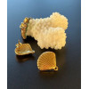 Boucles d'oreilles Puces Coquillage 19mm avec trou – Acier Inoxydable 304 Doré Placage IONIQUE