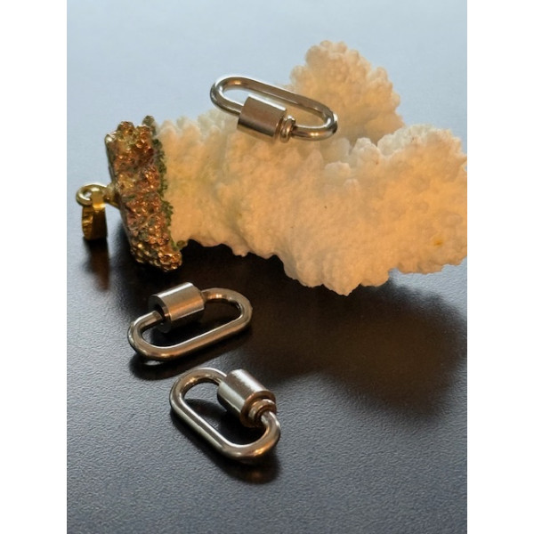 Mousquetons à vis Ovale 19mm – Acier Inoxydable 304 Argenté