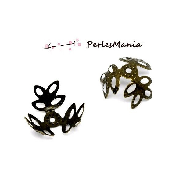 Coupelles Coquille Étoile 14mm – Métal Bronze