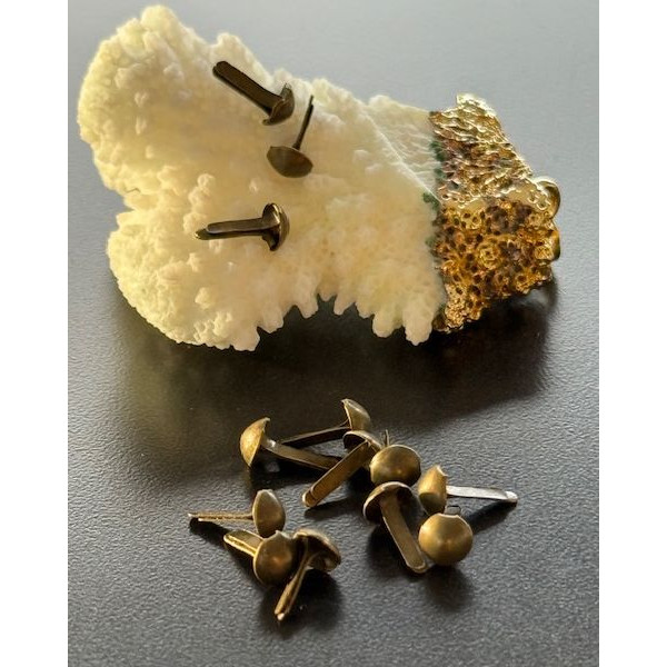 Attaches parisiennes ou Brads 8mm ronds Métal couleur Bronze