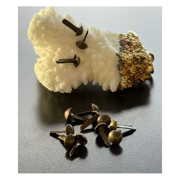 Attaches parisiennes ou Brads 8mm ronds Métal couleur Bronze