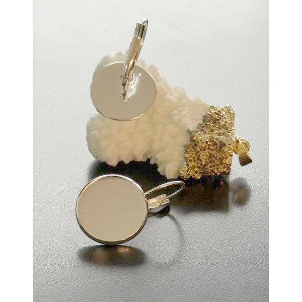 Supports Boucle d' oreille Dormeuse 16mm – Acier Inoxydable 304 Argent VIF