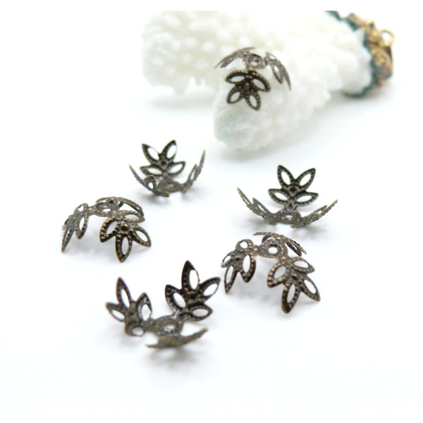 Coupelles Coquille Étoile 14mm – Métal Bronze