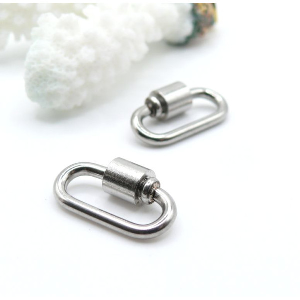Mousquetons à Vis Ovale 19 mm – Acier Inoxydable Argenté