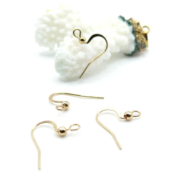 Crochets Boucles d'Oreille 19mm – Acier Inoxydable 316 Doré  à l'or fin 18K