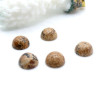 Cabochons Demi Perle 8mm – Jaspe Paysage Coloris 42