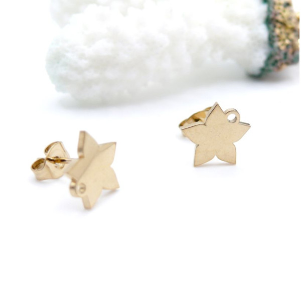 H11I206111G – Lot de 2 ou 4 Boucles d’Oreilles Puce Fleur avec Attache 10 mm – Acier Inoxydable 304 Doré, IONIQUE