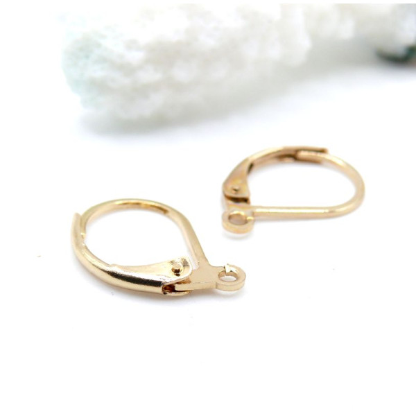 Boucles d’Oreilles Dormeuses avec Anneau d’Accroche – Acier Inoxydable 304 Doré à l'or fin 24K