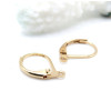 Boucles d’Oreilles Dormeuses avec Anneau d’Accroche – Acier Inoxydable 304 Doré à l'or fin 24K