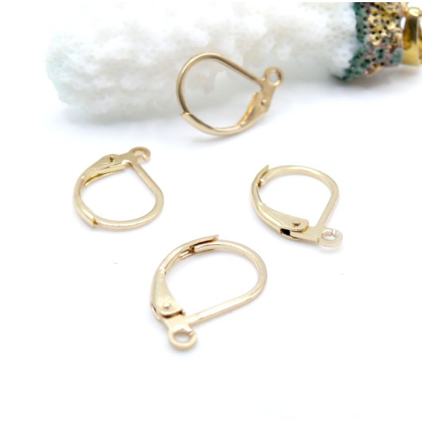 Boucles d’Oreilles Dormeuses avec Anneau d’Accroche – Acier Inoxydable 304 Doré à l'or fin 24K