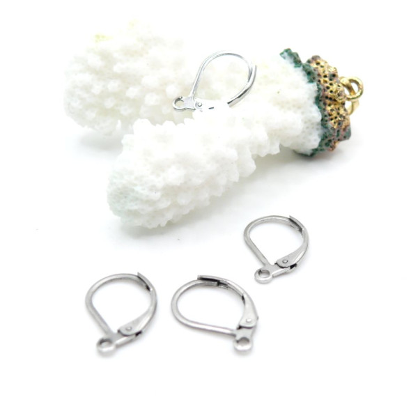 Boucles d’Oreilles Dormeuses 15 mm Attache Ouverte – Acier Inox 316L – Argenté