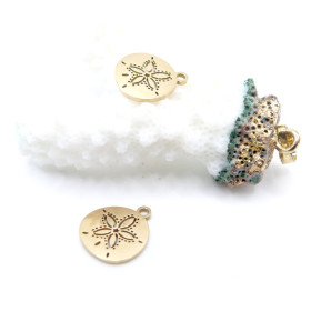 Pendentif Coquillage Dollar 13.5 mm – Acier Inoxydable – Doré