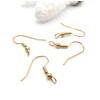 Boucles d’Oreilles Crochets avec Anneau Transversal – Acier Inox 304 – Doré à l’Or fin 18K