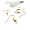 Boucles d’Oreilles Crochets avec Anneau Transversal – Acier Inox 304 – Doré à l’Or fin 18K