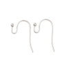 Boucles d’Oreilles Crochets 22 mm avec Bille – Acier Inoxydable 316 – Argent Platine