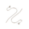 Boucles d’Oreilles Crochets 22 mm avec Bille – Acier Inoxydable 316 – Argent Platine