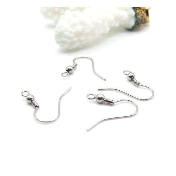 Crochets de Boucles d'Oreilles – Acier Inoxydable 316 Chirurgical – Finition Argentée