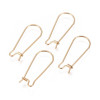 Boucles d’Oreille Dormeuses 20x10x0.6mm – Acier Inoxydable 304 Doré placage IONIQUE