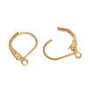 Boucles d'Oreilles Dormeuses Simples – Acier Inox 304 Doré – Placage IONIQUE (IP)