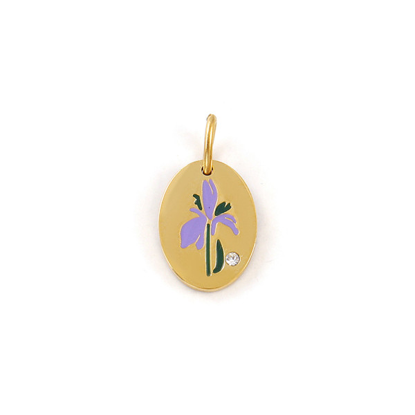 Pendentif Charm Médaillon Ovale Fleur de Naissance FEVRIER 14 mm – Acier Inox 304 Doré à l'Or Fin 18K – Placage PVD IONIQUE (IP)