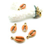 Pendentifs Charms Cauri en Résine Émaillée 17 mm – Acier Inox 304 Doré