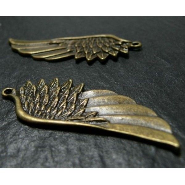 1 Très belle aile en bronze 