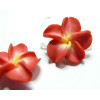 2 fleurs cabochons  fimo rouge  20mm