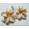 2 fleurs cabochons  fimo blanc 20mm