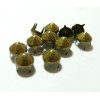 lot de 50 clous 9mm cones à griffe   Bronze 