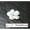 1 magnifique fleur de nacre sculptée 3D pour création de bijoux ref 13 