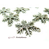 10 pendentifs flocons de neige Viel argent  P3264 pour création de bijoux 