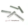 10 pendentif breloques message rectangle INSPIRE 2W6222 VIEIL ARGENT 