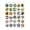 Nature retro Rond 20mm